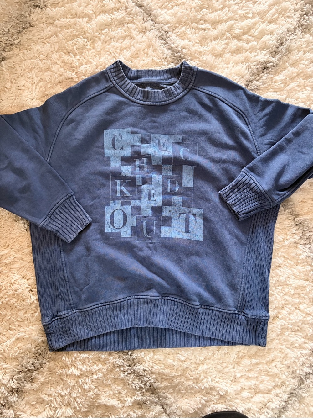 aerie Blue Graphic Crewneck Sweatshirt